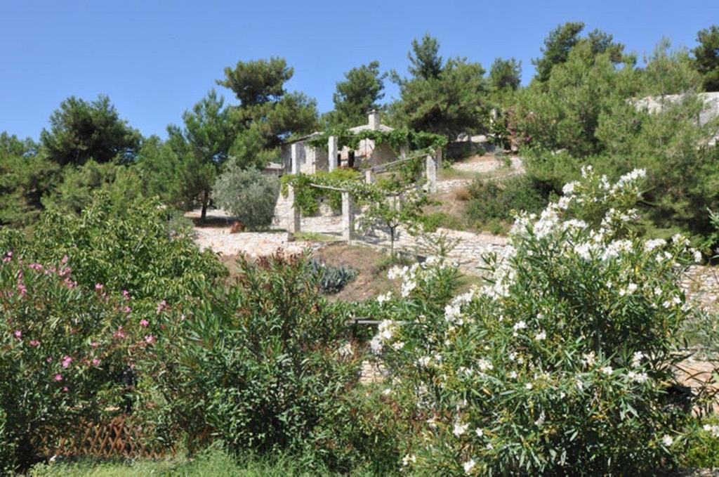 Arsinoi Stonehouses Λιμενάρια Εξωτερικό φωτογραφία